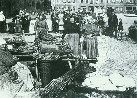 Verkauf von Bamberger Gärtnerprodukten, u.a. Süßholz auf dem Maxplatz 1902