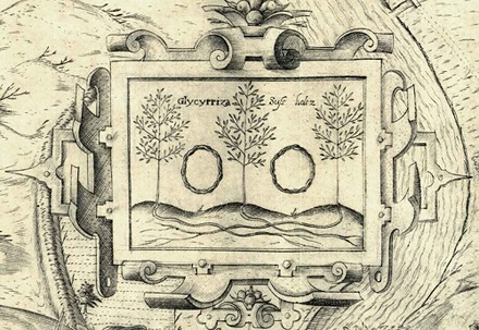 Abbildung von Süßholz auf dem Stadtplan von Petrus Zweidler aus dem Jahre 1602.